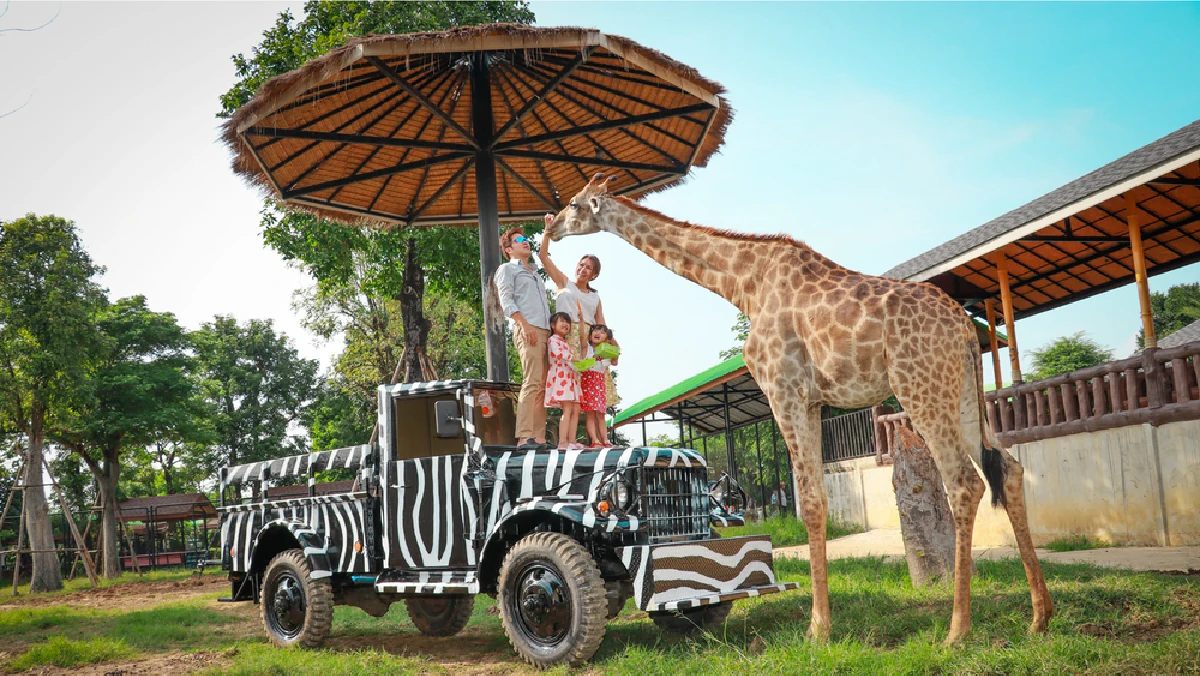 Sriayuthaya Lion Park Zoo Ayutthaya with Private Transfer